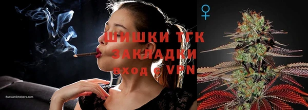 молекула духа Волоколамск
