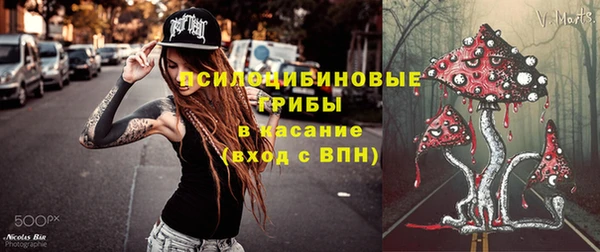 молекула духа Волоколамск