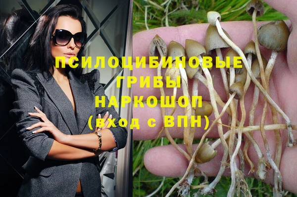 бошки Волосово