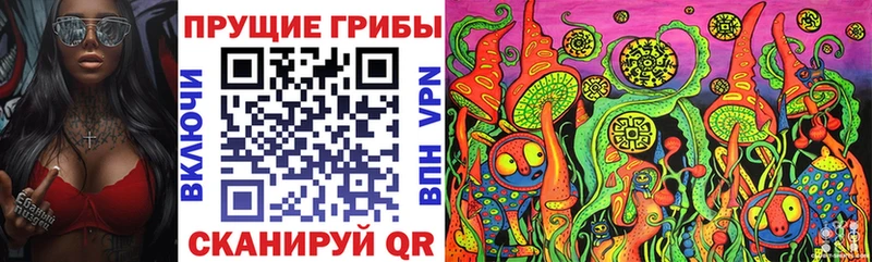 Галлюциногенные грибы Psilocybe нарко площадка клад Монино наркотики