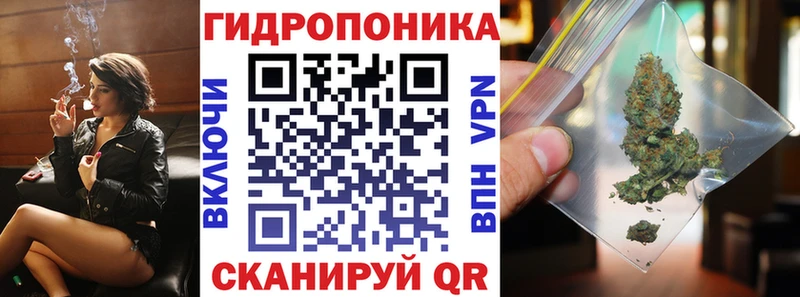Бошки марихуана конопля  Монино 